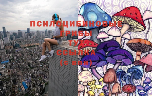 гидра Балабаново