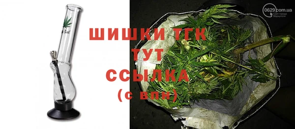 гашик Осташков