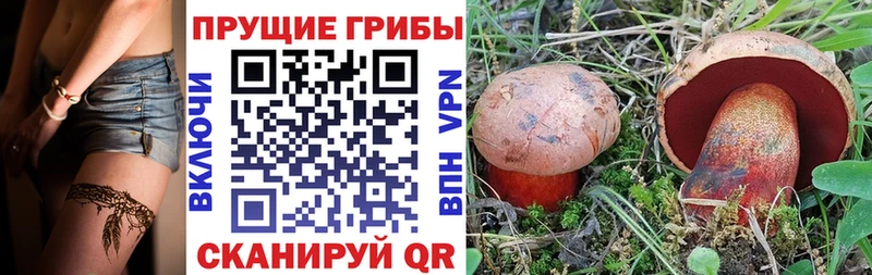 Псилоцибиновые грибы прущие грибы  Видное 
